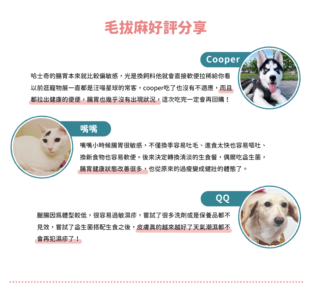 使用者見證