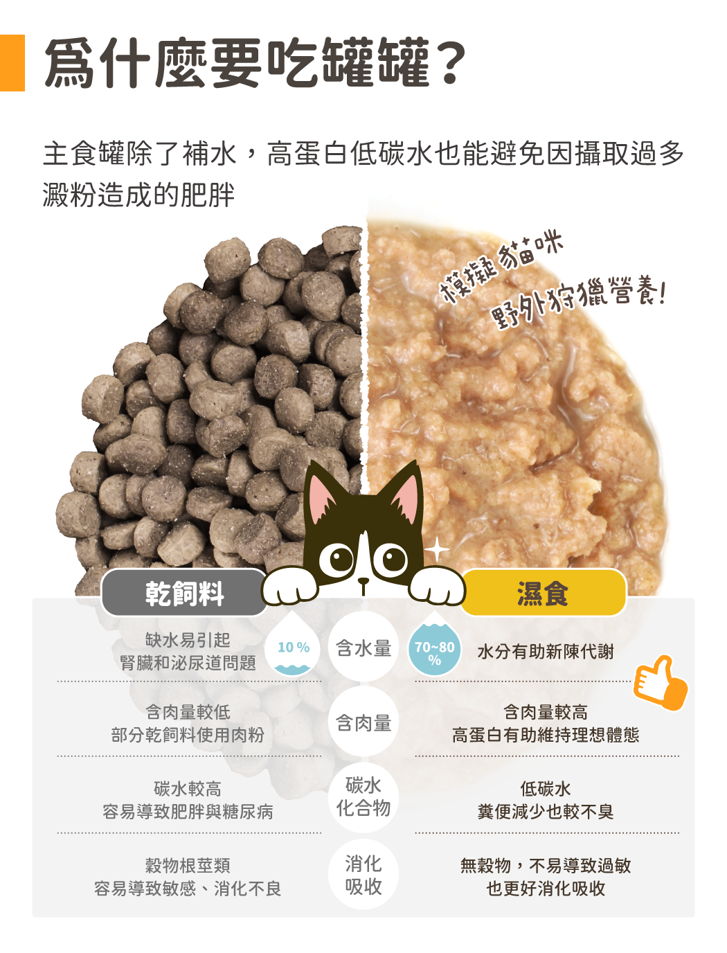 乾飼料vs濕食