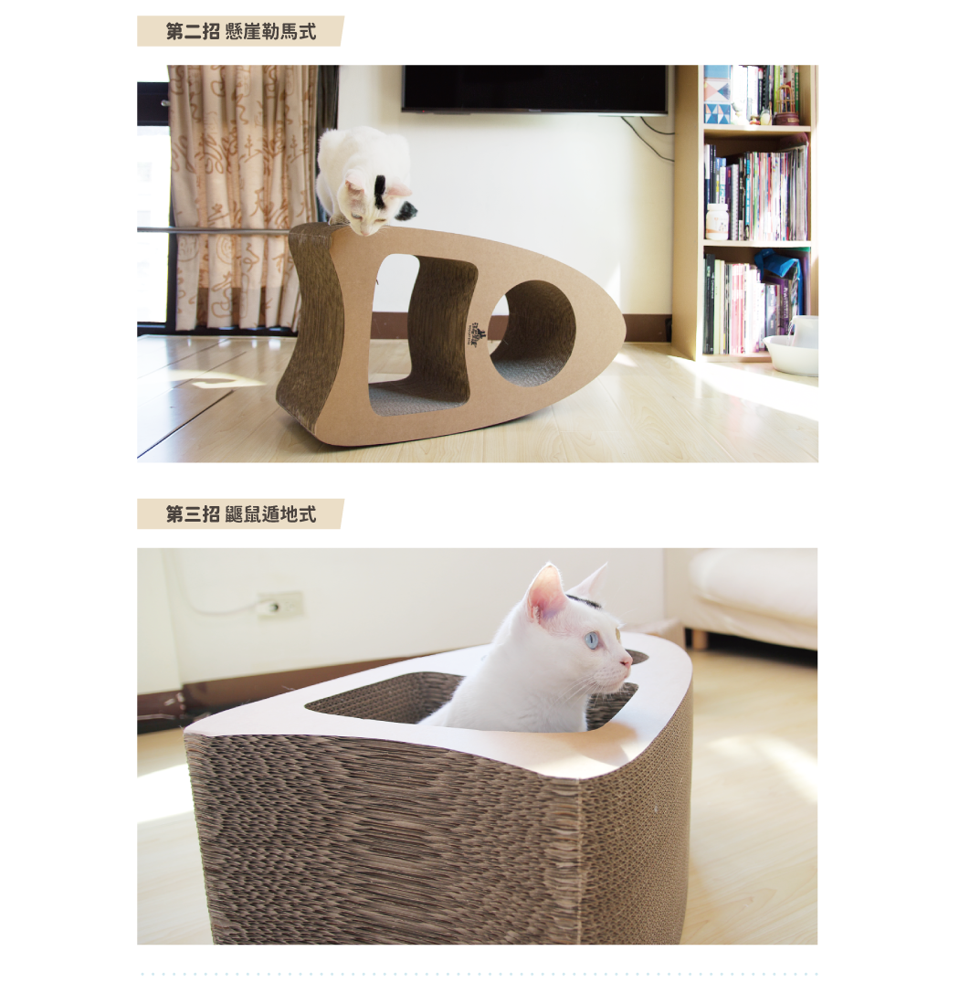 <div><strong>市面上唯一可以 “站著抓的貓抓板”</strong> •  70公分直立式設計，小坪數家庭也超合適 •  SGS 無毒膠水貼合、進口頂級長纖維紙質，讓毛孩放膽抓、安心咬！ </div>