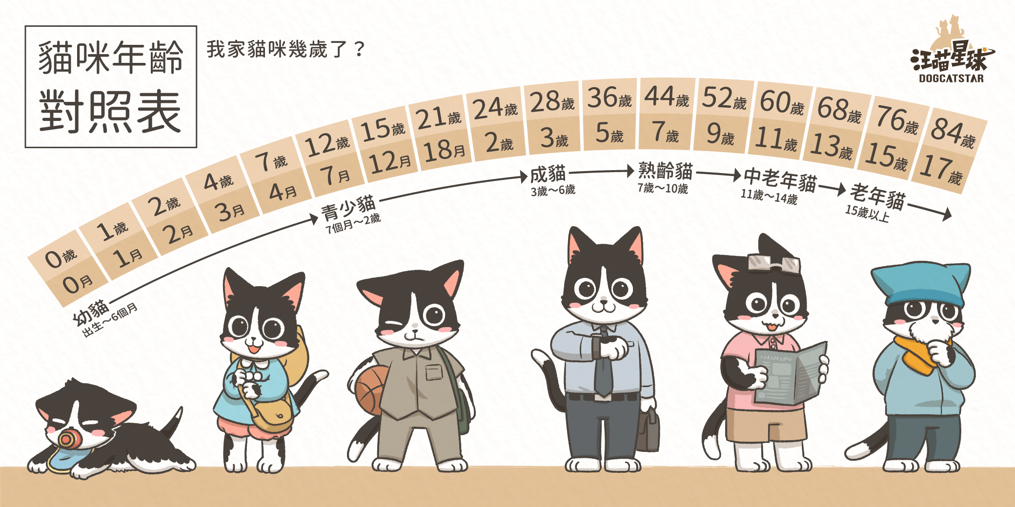 寵物健康篇 貓咪幾歲開始算是老貓呢 照顧老貓注意事項有哪些呢 汪喵星球