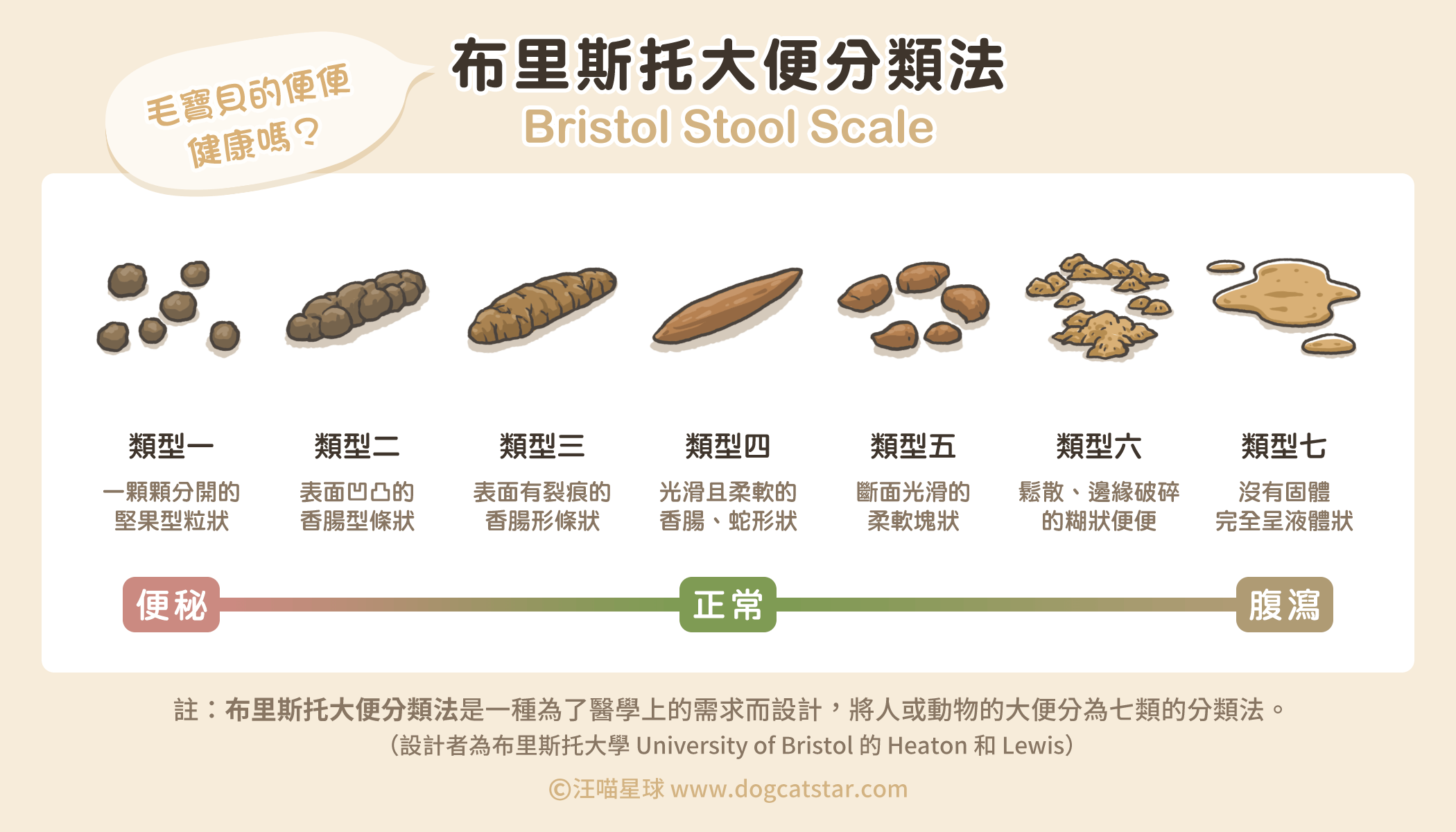 不可小看的「 貓便秘」！貓便秘怎麼辦？ - 汪喵星球