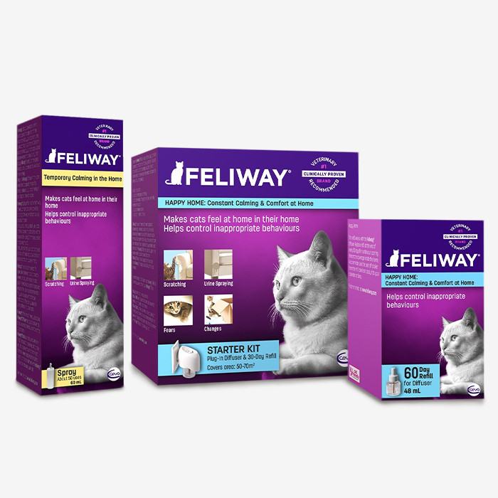 feliway calming