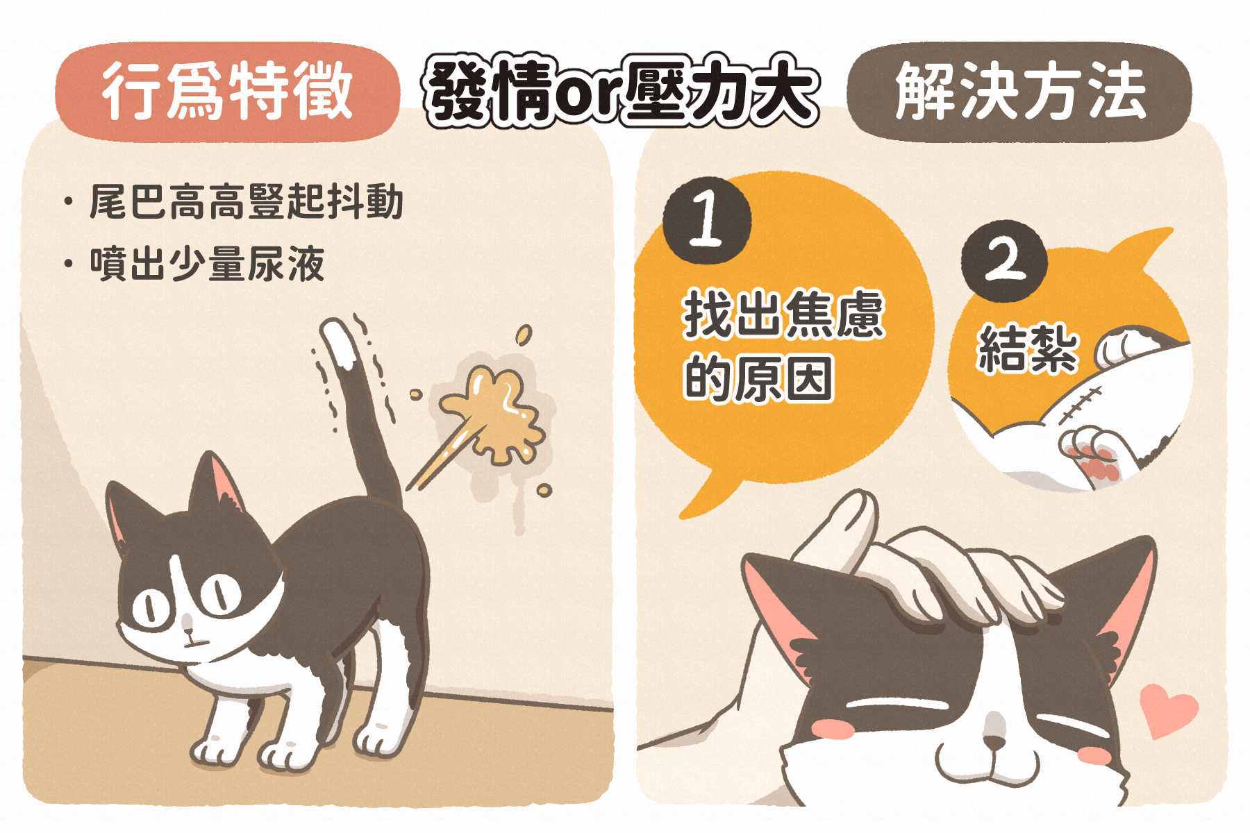 犬貓行為學 貓咪亂尿尿是報復 可能你還不夠了解牠 汪喵星球