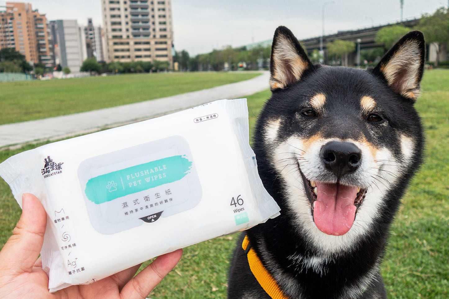 汪喵知識教室 為什麼毛孩不能用寶寶濕巾 汪喵星球