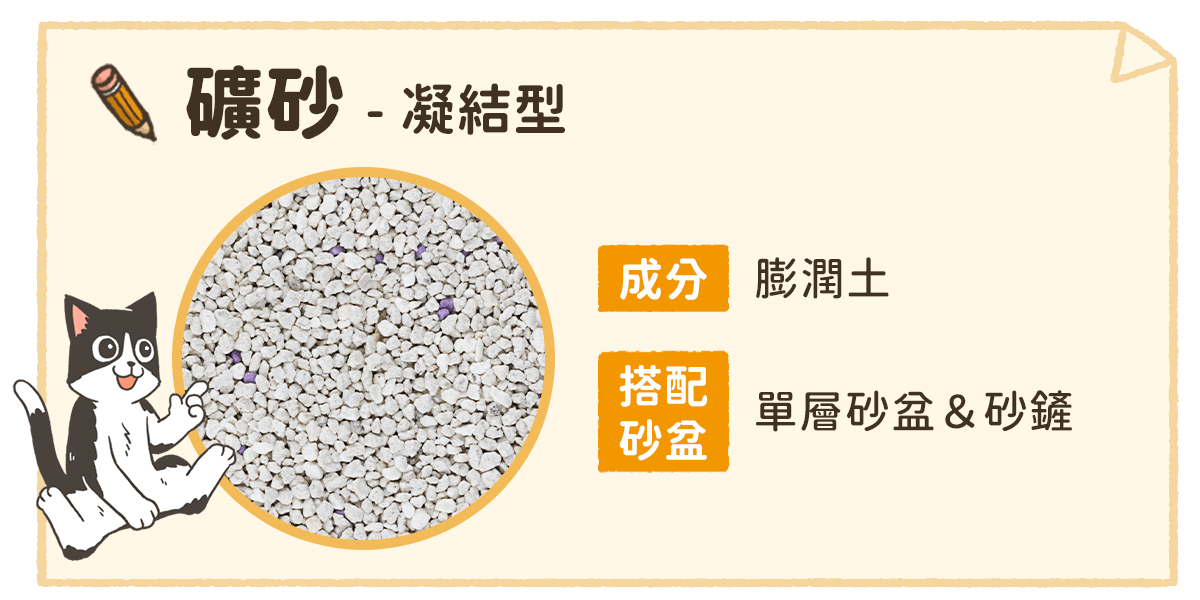 新手養貓必知｜貓砂挑選攻略！如何挑選適合的貓砂種類？ - 汪喵星球