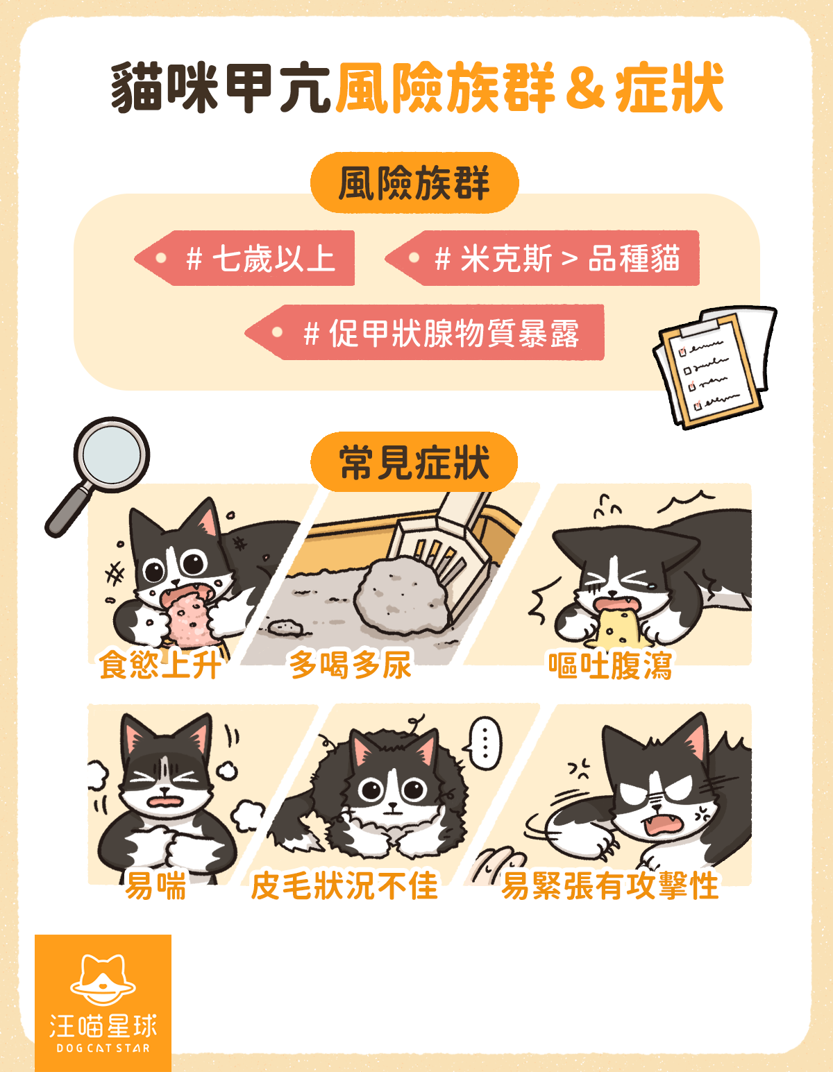 老貓活力、食慾變好？ 貓咪甲狀腺亢進的症狀及照護指南 汪喵星球