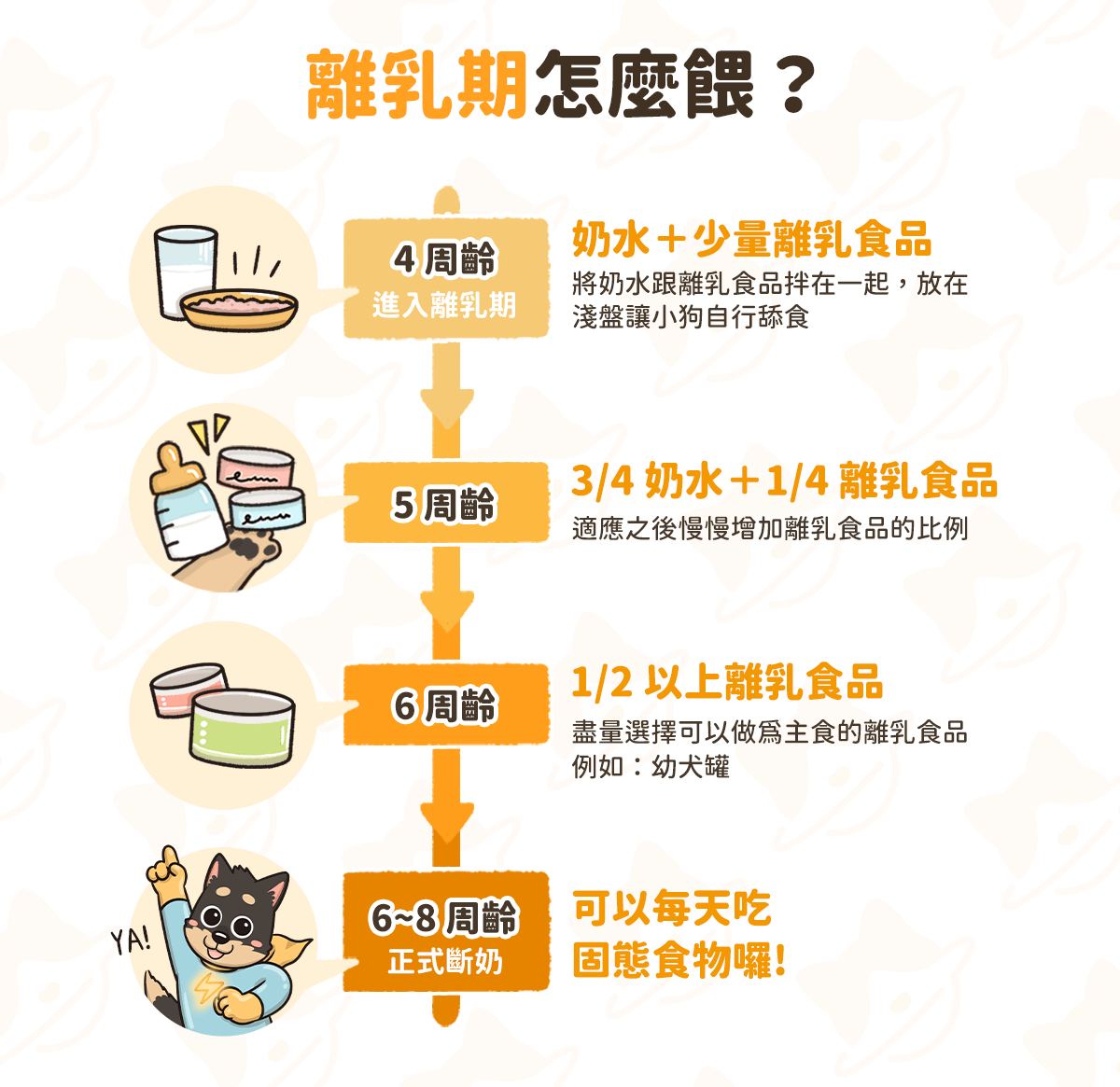 幼犬照顧 從飲食到醫療 0 1歲幼犬照顧重點總整理 汪喵星球