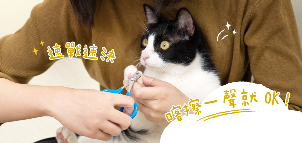 速戰速決，喀擦一聲就 OK！