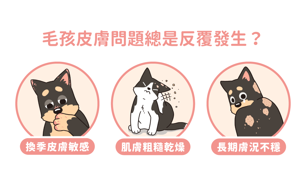 毛孩皮膚問題總是反覆發生?