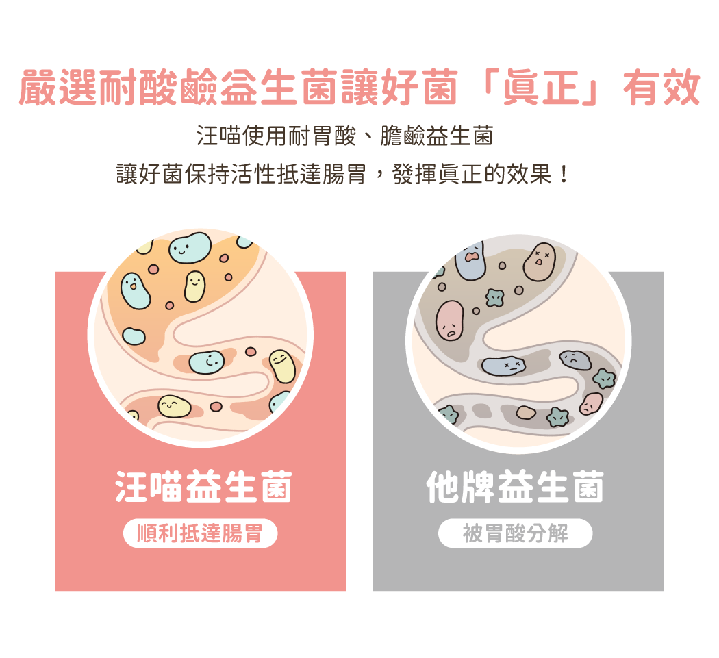 嚴選耐酸鹼益生菌,讓好菌「真正」有效